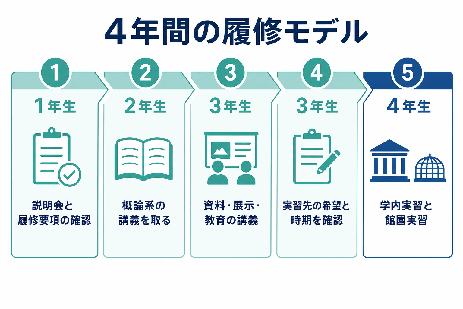 学芸員養成課程を在学中に4年間で履修する流れを時期ごとに示した図解