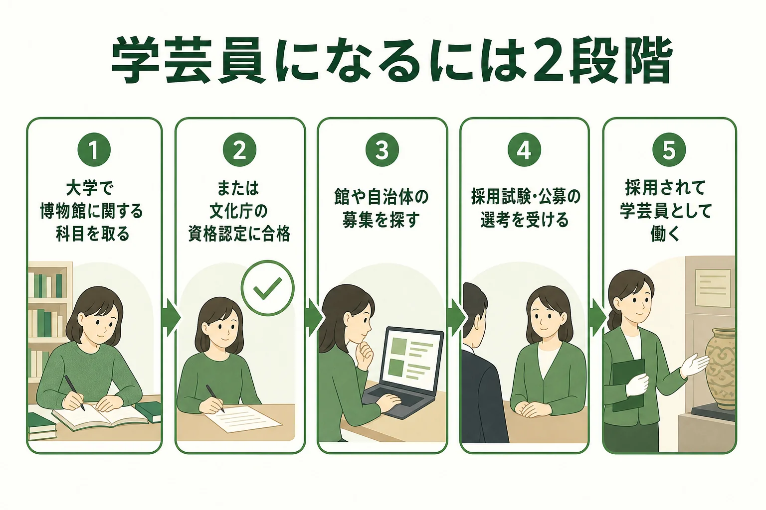学芸員になるには資格を取る段階と博物館に採用される段階の2つがあることを示した図解